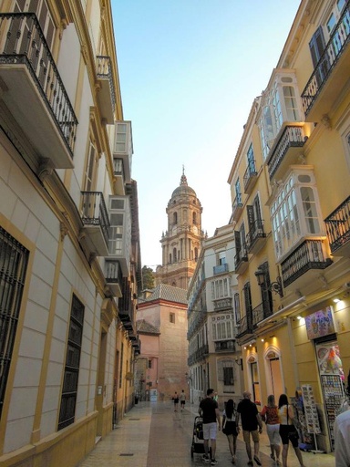 Private Tour: Historic centre of Malaga (price per group)